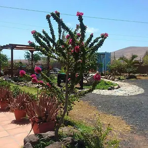https://casa-rural-soleario.hotelsfuerteventura.org